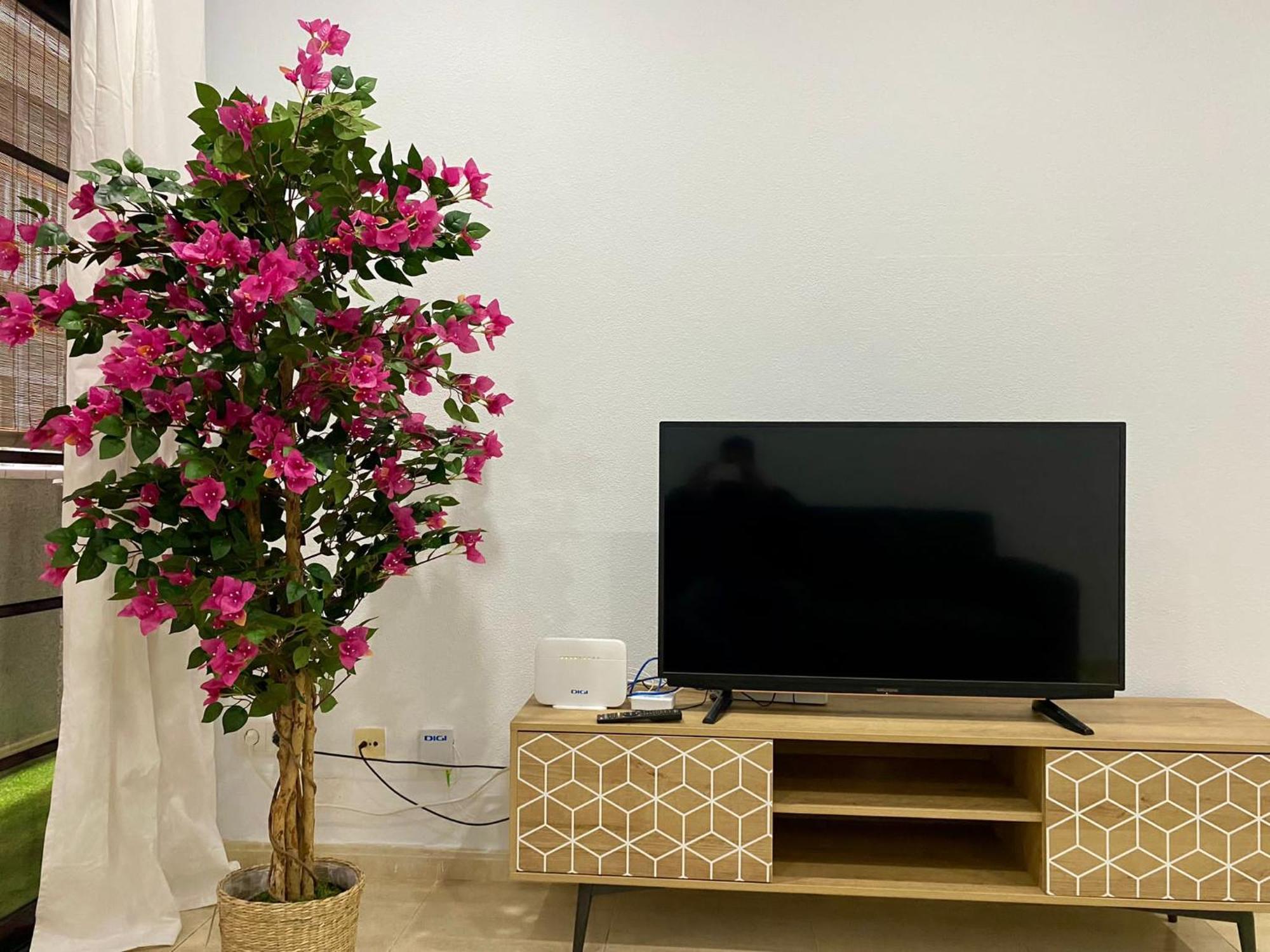 Apartament Loft Santa Catalina Park II Las Palmas de Gran Canaria Zewnętrze zdjęcie